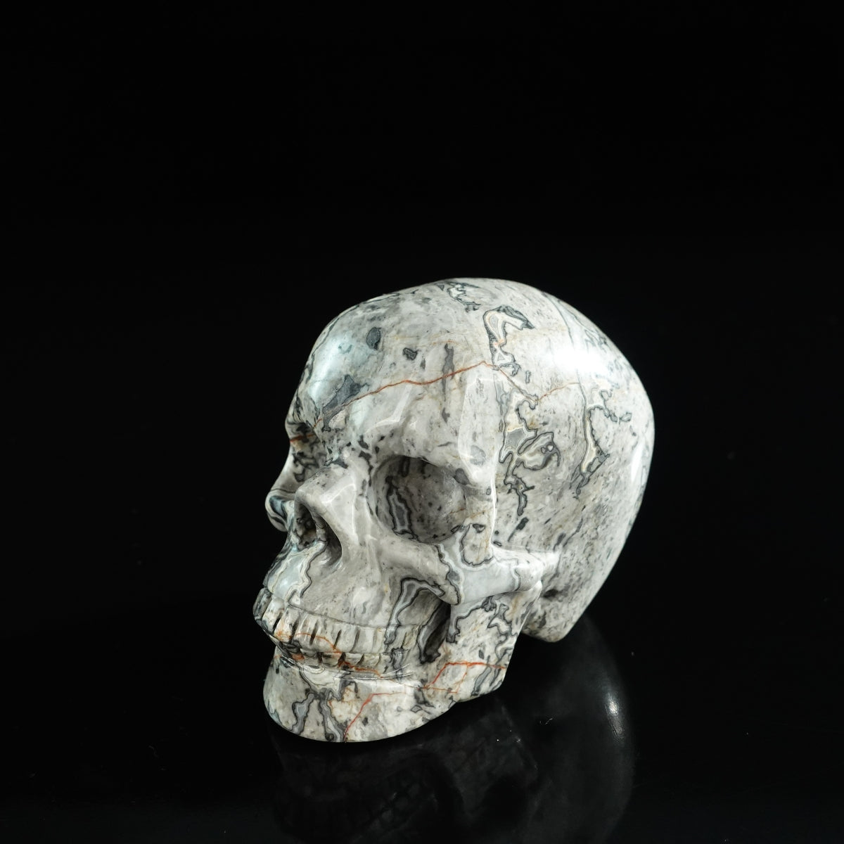 3.0" Grey Picture Jasper Crystal Skull Carving - Unique Piece #GP06