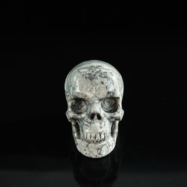 3.0" Grey Picture Jasper Crystal Skull Carving - Unique Piece #GP07