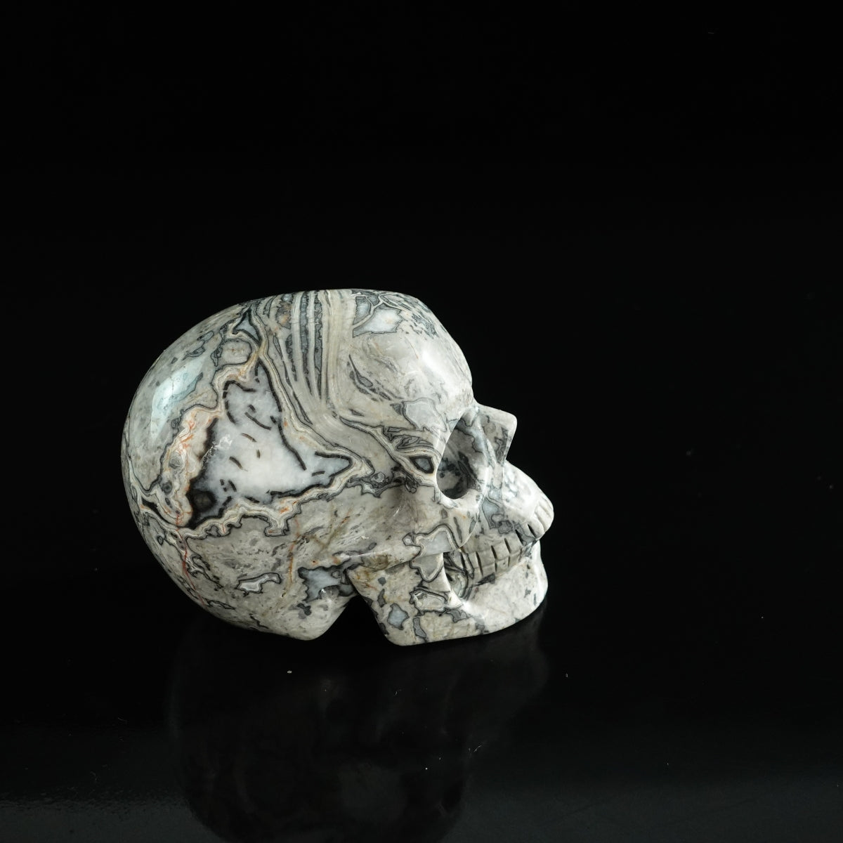 3.0" Grey Picture Jasper Crystal Skull Carving - Unique Piece #GP07