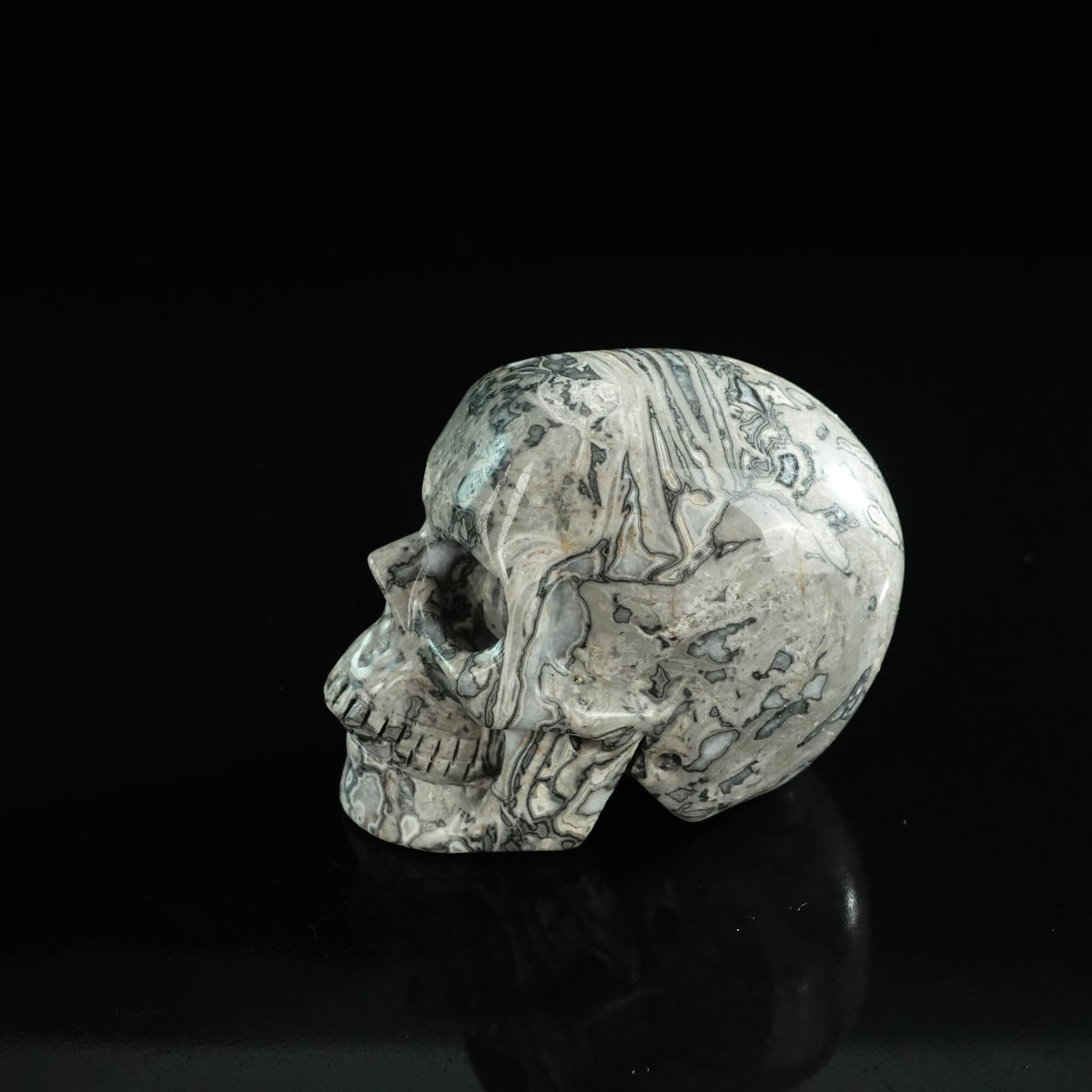 3.0" Grey Picture Jasper Crystal Skull Carving - Unique Piece #GP07