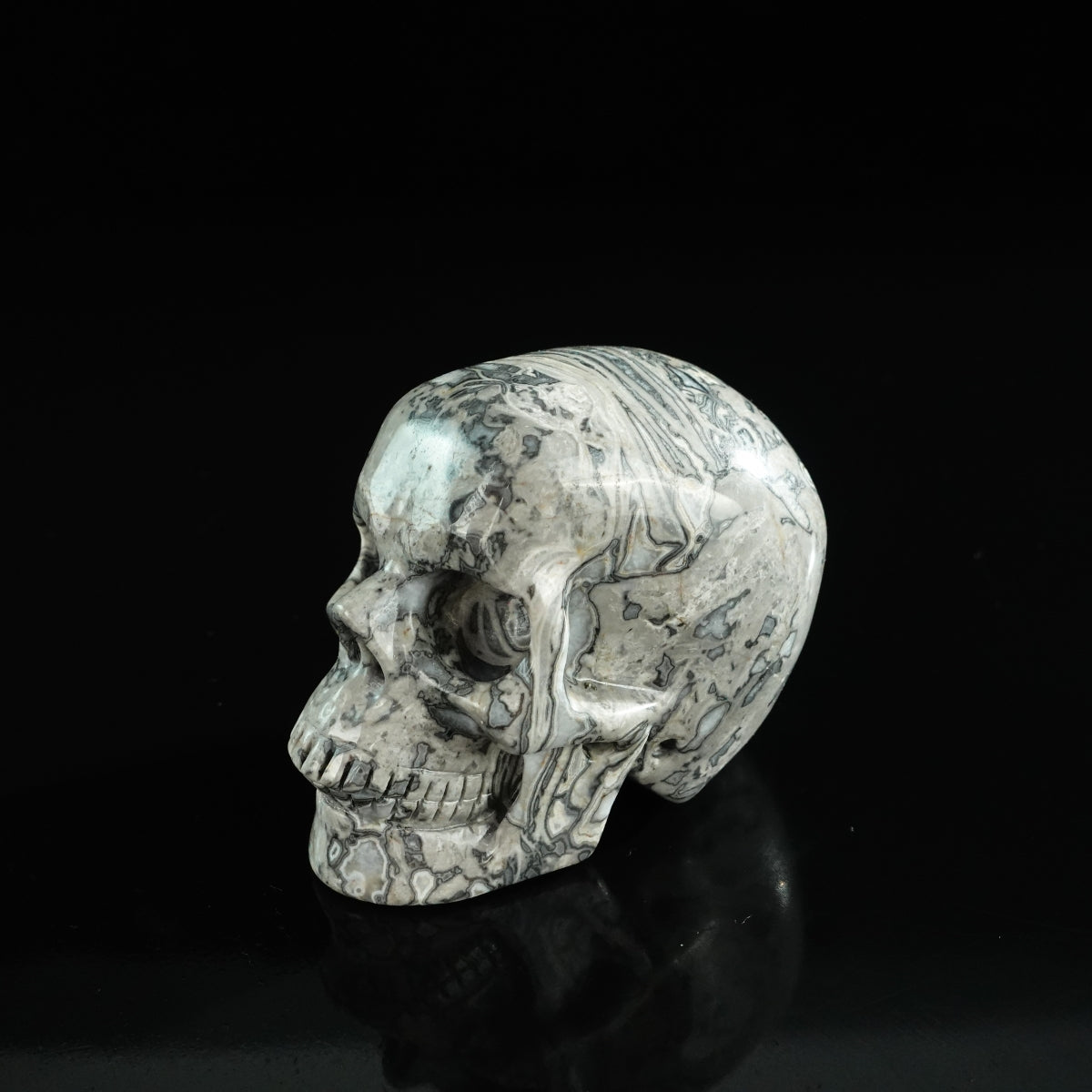 3.0" Grey Picture Jasper Crystal Skull Carving - Unique Piece #GP07