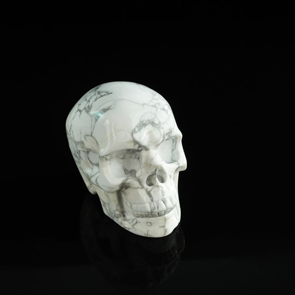 3.0" Howlite Crystal Skull Carving - Unique Piece #HL01 - alternate view