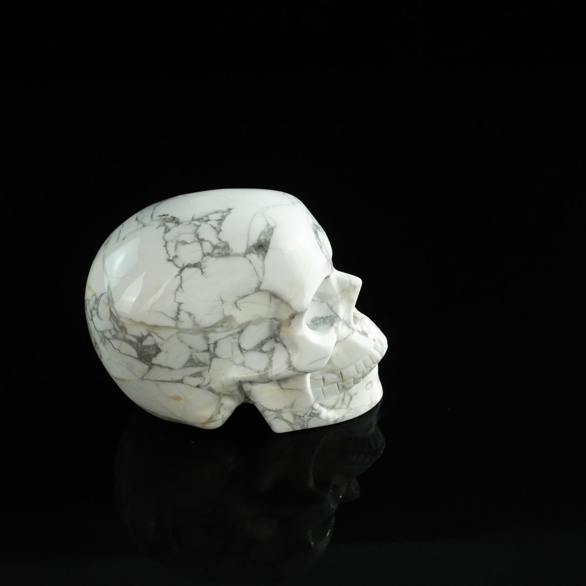 3.0" Howlite Crystal Skull Carving - Unique Piece #HL01