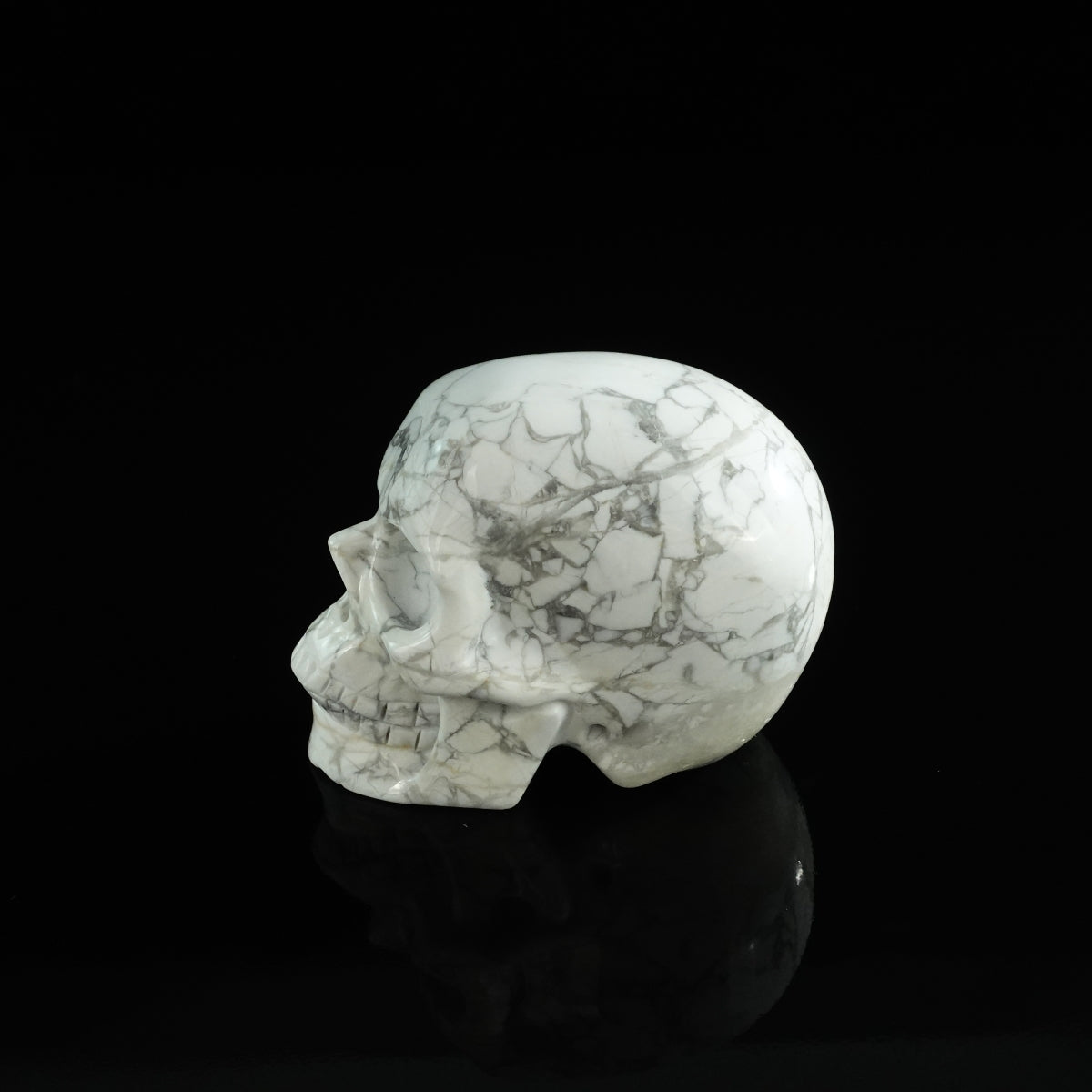 3.0" Howlite Crystal Skull Carving - Unique Piece #HL01