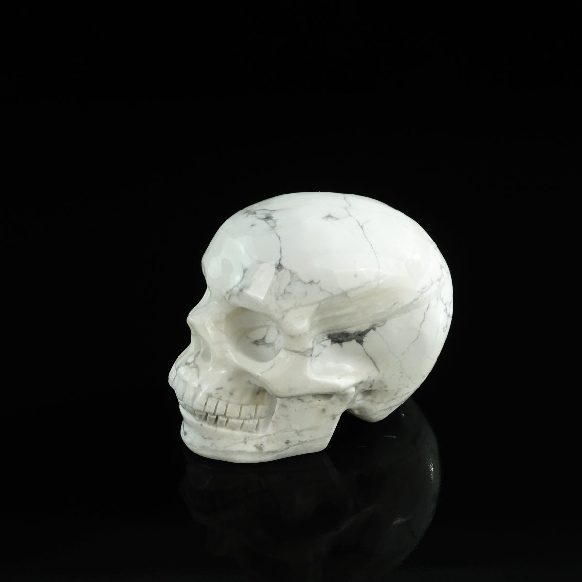 3.0" Howlite Crystal Skull Carving - Unique Piece #HL02