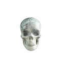 3.0" Howlite Crystal Skull Carving - Hand Carved Decor