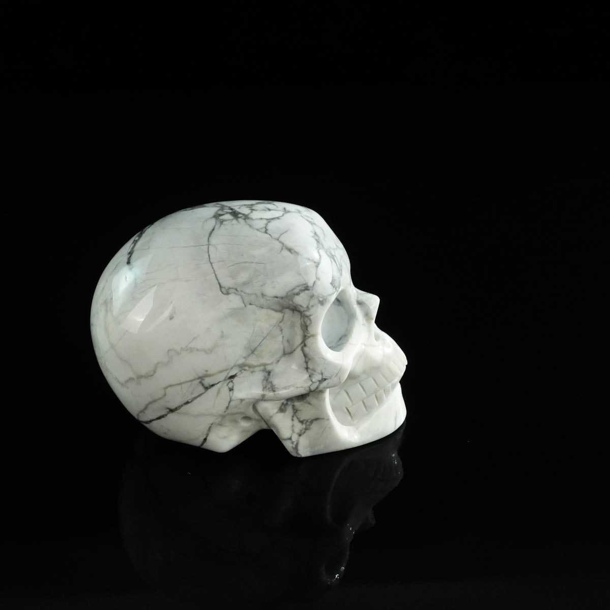 3.0" Howlite Crystal Skull Carving - Unique Piece #HL04