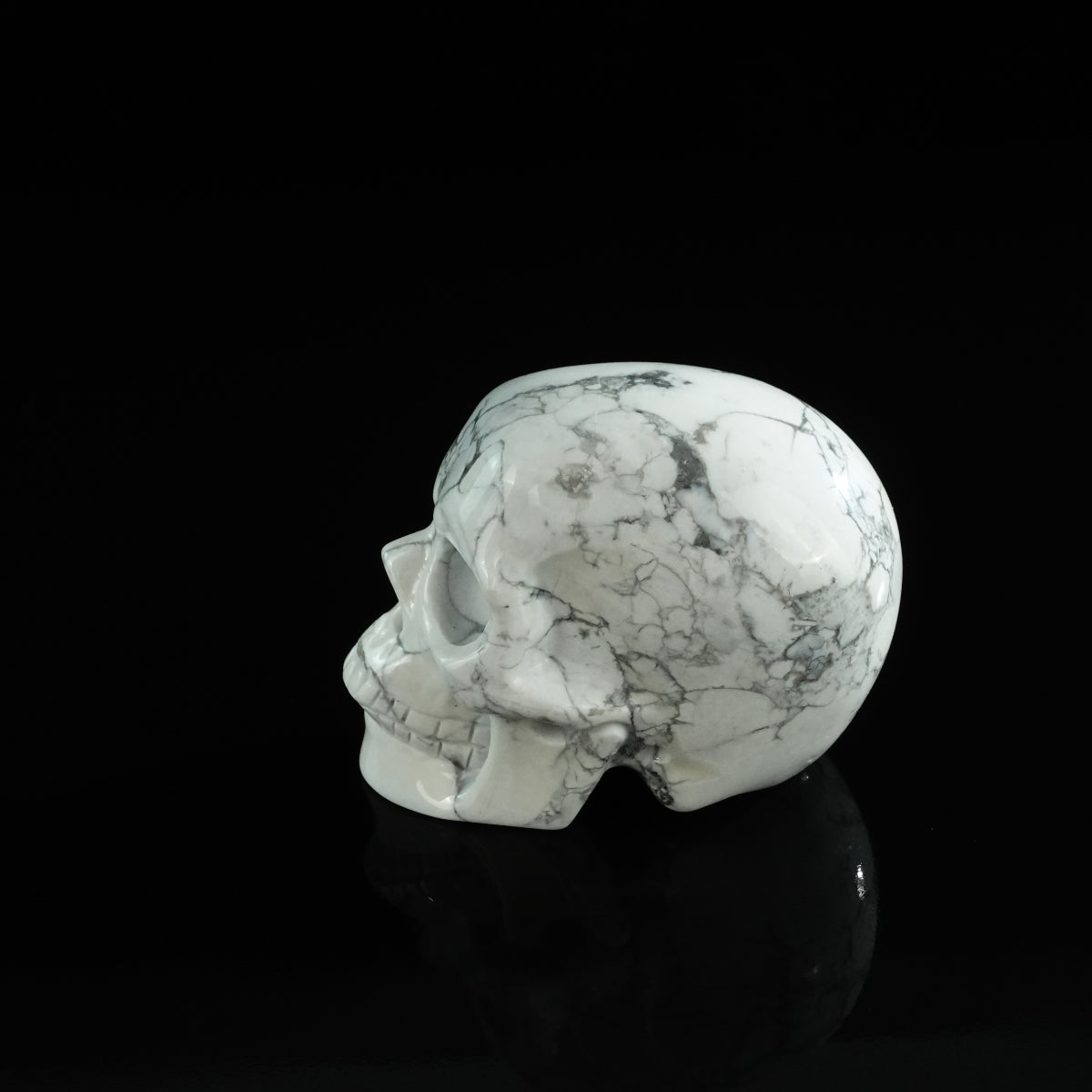 3.0" Howlite Crystal Skull Carving - Unique Piece #HL05
