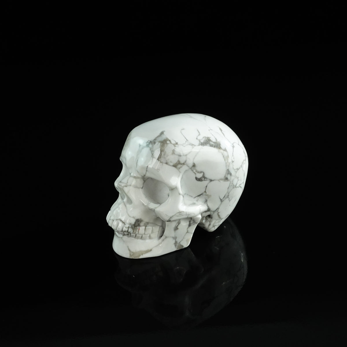 3.0" Howlite Crystal Skull Carving - Unique Piece #HL06