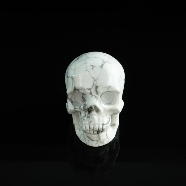 3.0" Howlite Crystal Skull Carving - Unique Piece #HL07