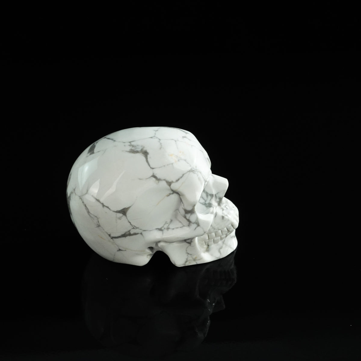 3.0" Howlite Crystal Skull Carving - Unique Piece #HL07