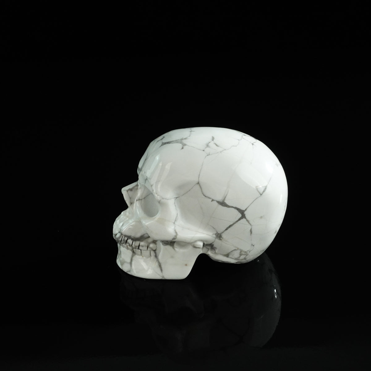 3.0" Howlite Crystal Skull Carving - Unique Piece #HL07