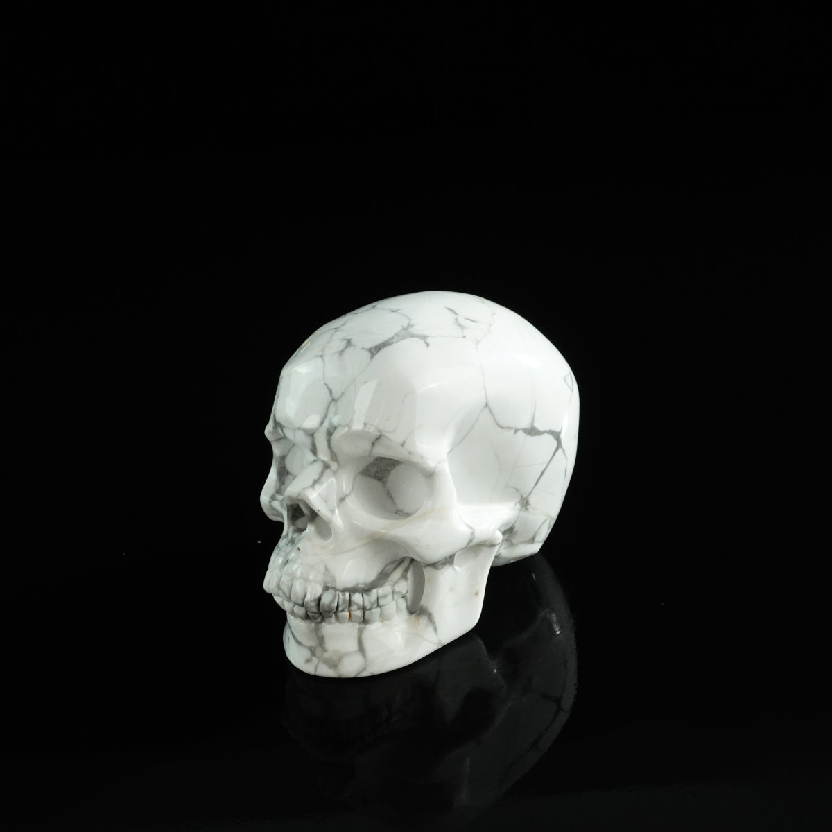 3.0" Howlite Crystal Skull Carving - Unique Piece #HL07