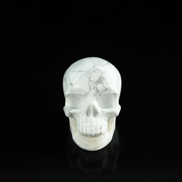 3.0" Howlite Crystal Skull Carving - Unique Piece #HL08