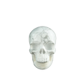 3.0" Howlite Crystal Skull Carving - Hand Carved Decor