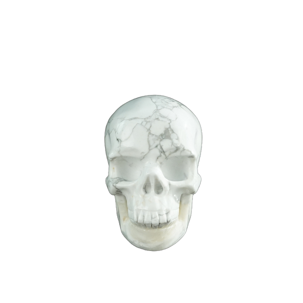 3.0" Howlite Crystal Skull Carving - Hand Carved Decor