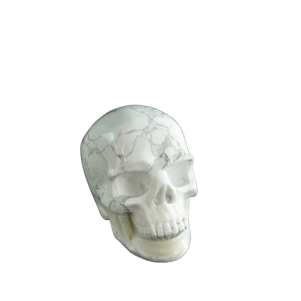 3.0" Howlite Crystal Skull Carving - Hand Carved Decor - alternate view