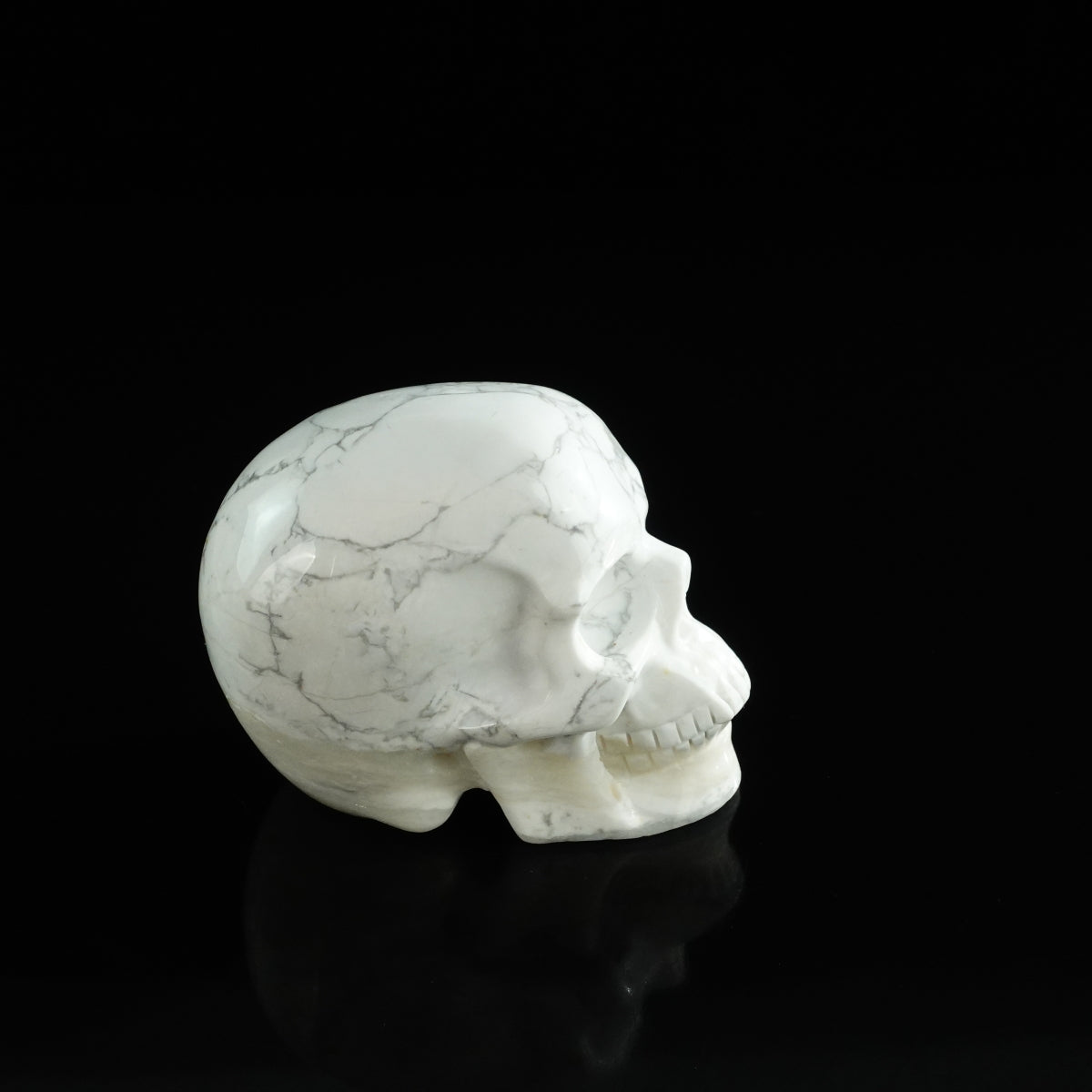 3.0" Howlite Crystal Skull Carving - Unique Piece #HL08
