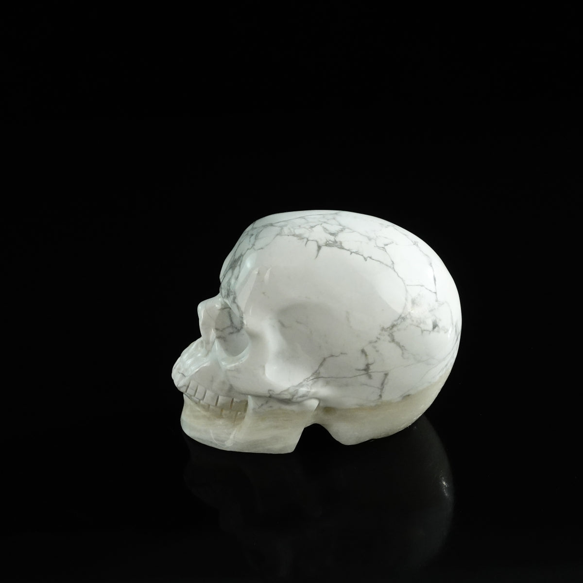 3.0" Howlite Crystal Skull Carving - Unique Piece #HL08