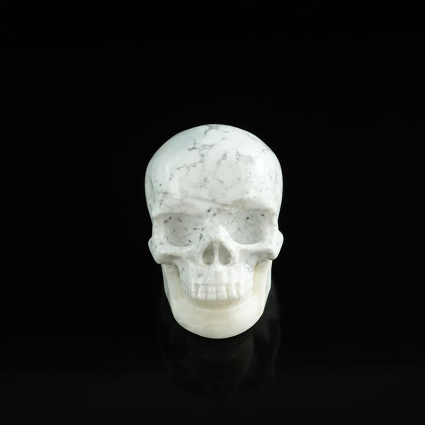 3.0" Howlite Crystal Skull Carving - Unique Piece #HL09