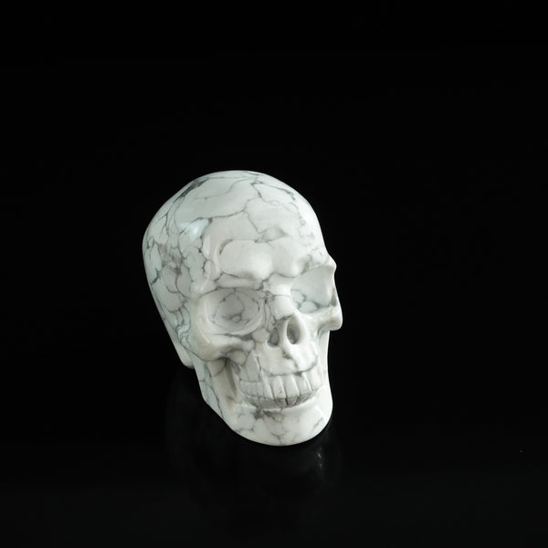 3.0" Howlite Crystal Skull Carving - Unique Piece #HL11 - alternate view
