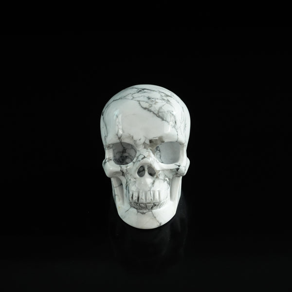 3.0" Howlite Crystal Skull Carving - Unique Piece #HL12
