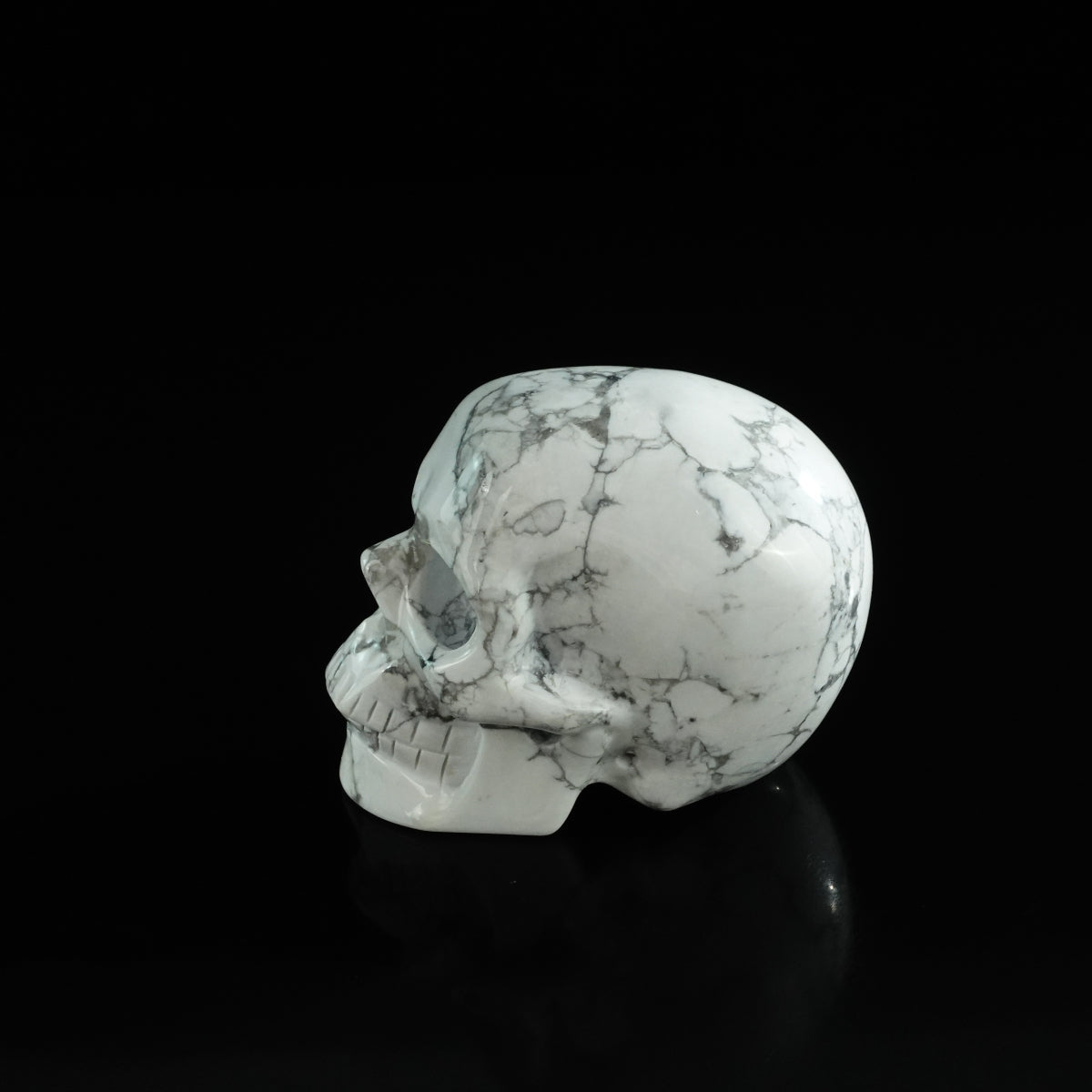3.0" Howlite Crystal Skull Carving - Unique Piece #HL12