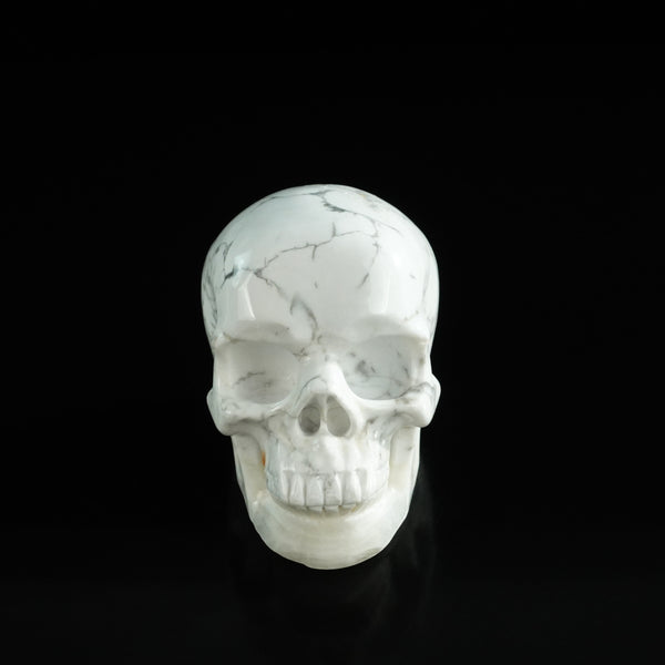 3.0" Howlite Crystal Skull Carving - Unique Piece #HL13