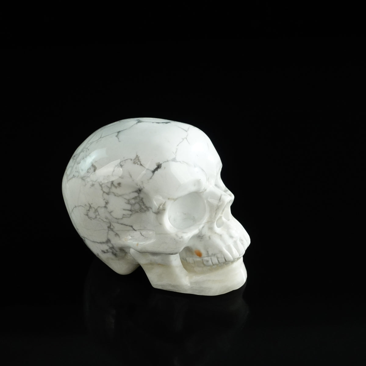 3.0" Howlite Crystal Skull Carving - Unique Piece #HL13