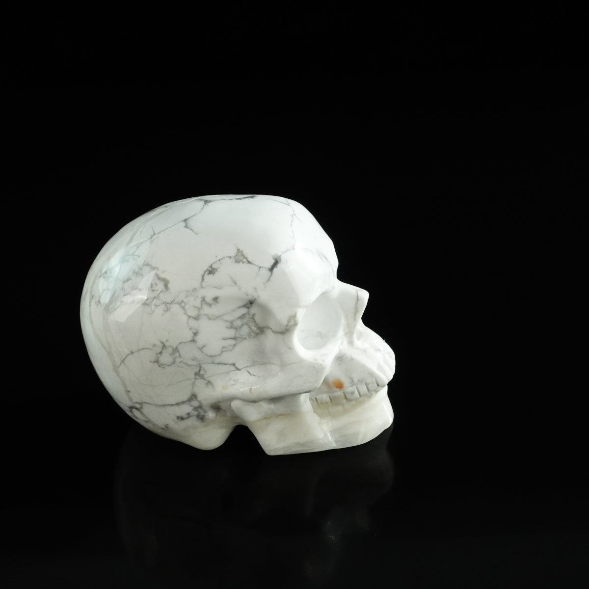 3.0" Howlite Crystal Skull Carving - Unique Piece #HL13