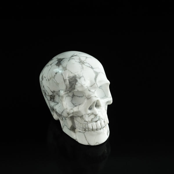 3.0" Howlite Crystal Skull Carving - Unique Piece #HL14 - alternate view