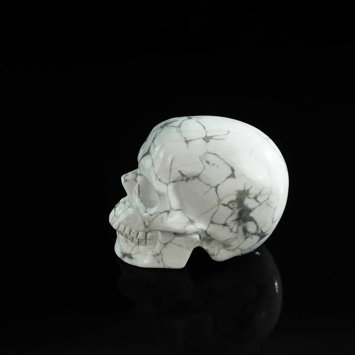 3.0" Howlite Crystal Skull Carving - Unique Piece #HL14