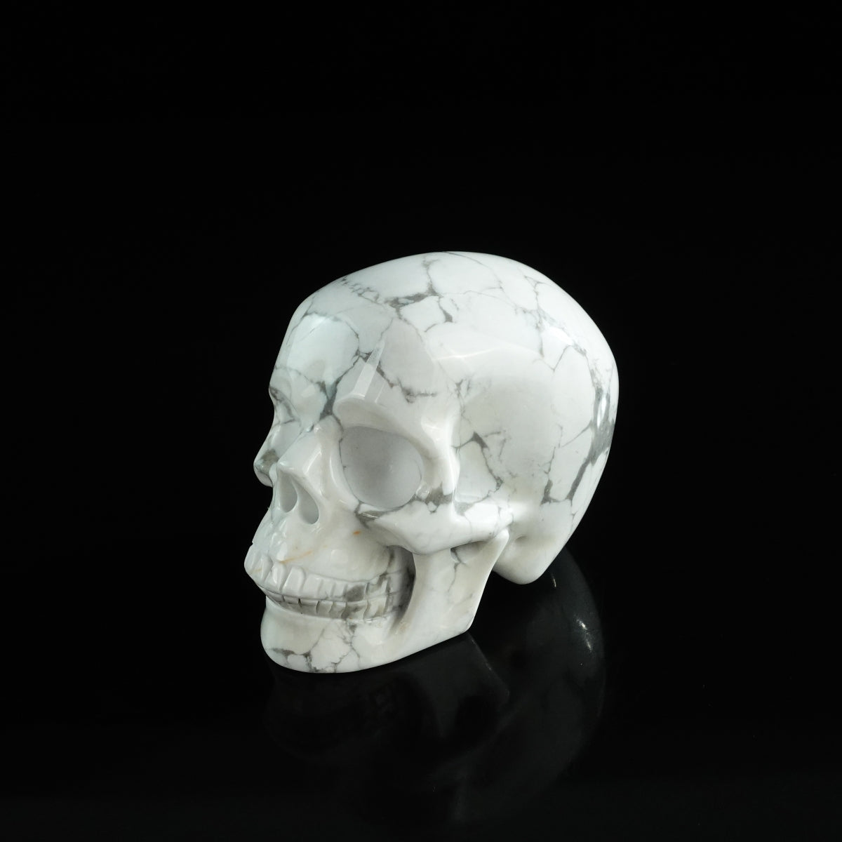 3.0" Howlite Crystal Skull Carving - Unique Piece #HL15