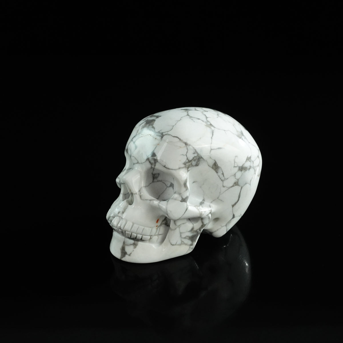 3.0" Howlite Crystal Skull Carving - Unique Piece #HL17