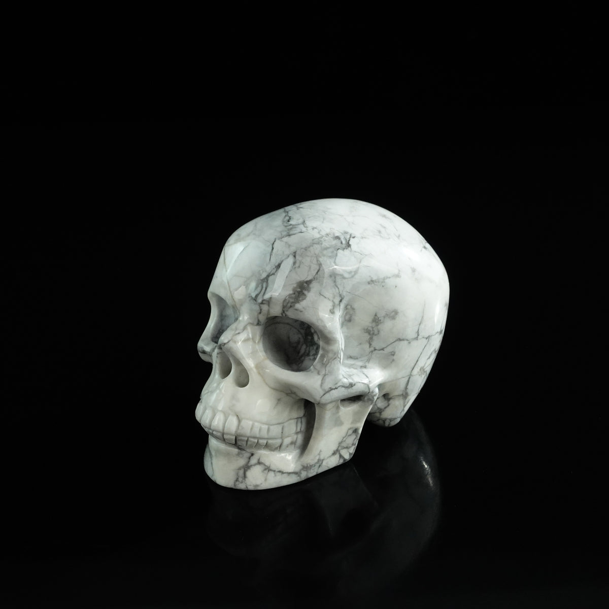 3.0" Howlite Crystal Skull Carving - Unique Piece #HL18