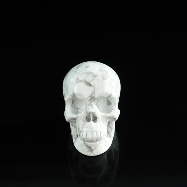 3.0" Howlite Crystal Skull Carving - Unique Piece #HL19