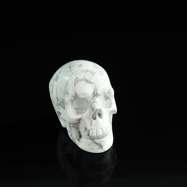 3.0" Howlite Crystal Skull Carving - Unique Piece #HL19 - alternate view