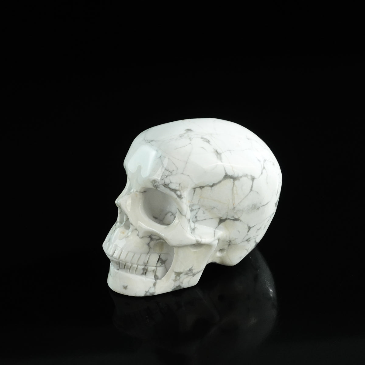 3.0" Howlite Crystal Skull Carving - Unique Piece #HL20