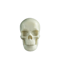 3.0" Ivory Jade Crystal Skull Carving - Hand Carved Decor