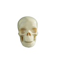 3.0" Ivory Jade Crystal Skull Carving - Hand Carved Decor