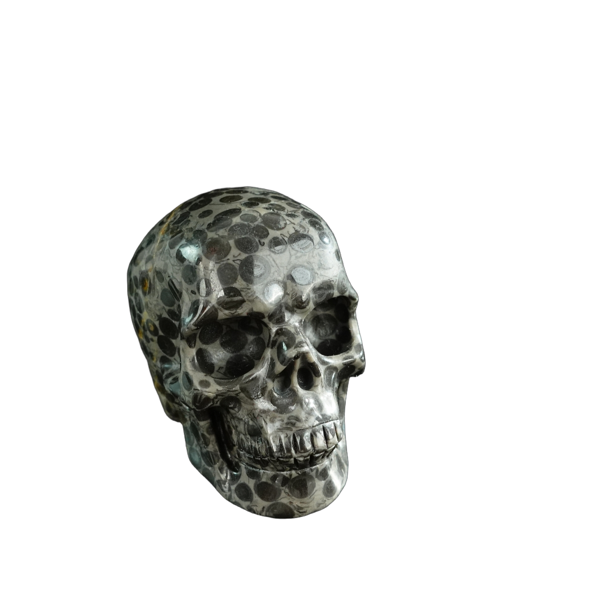 3.0" Leopard skin jasper Crystal Skull Carving - Hand Carved Decor