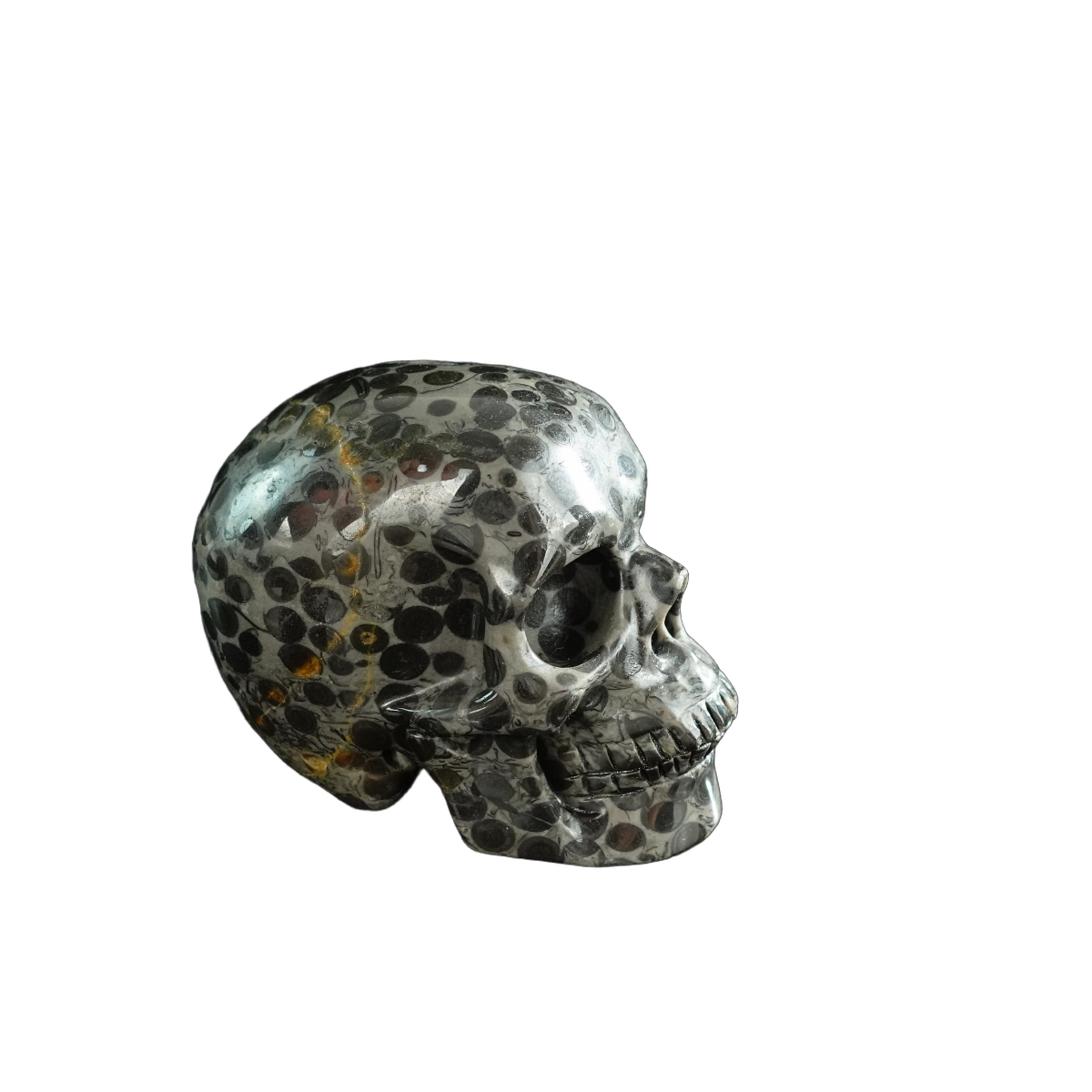 3.0" Leopard skin jasper Crystal Skull Carving - Hand Carved Decor