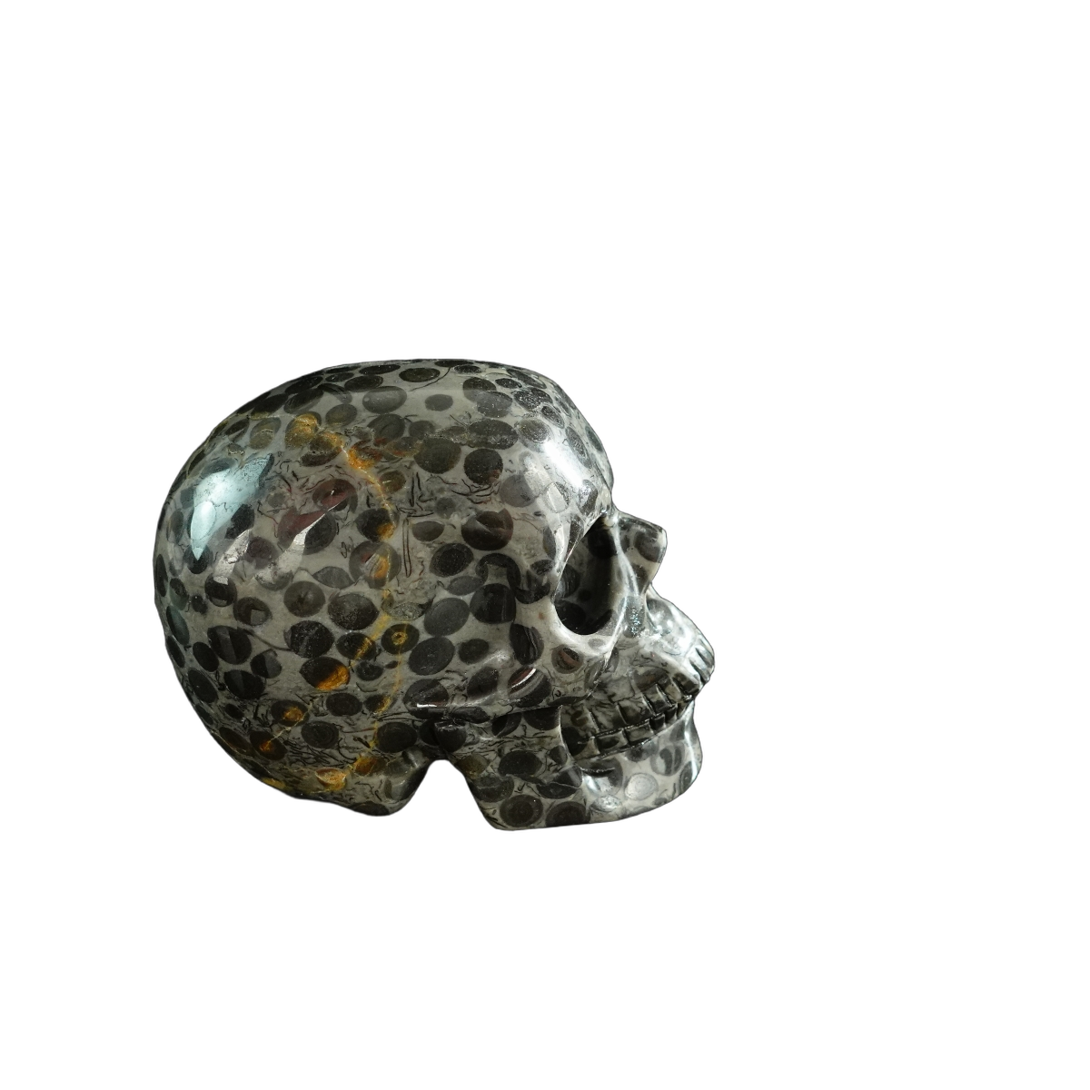3.0" Leopard skin jasper Crystal Skull Carving - Hand Carved Decor