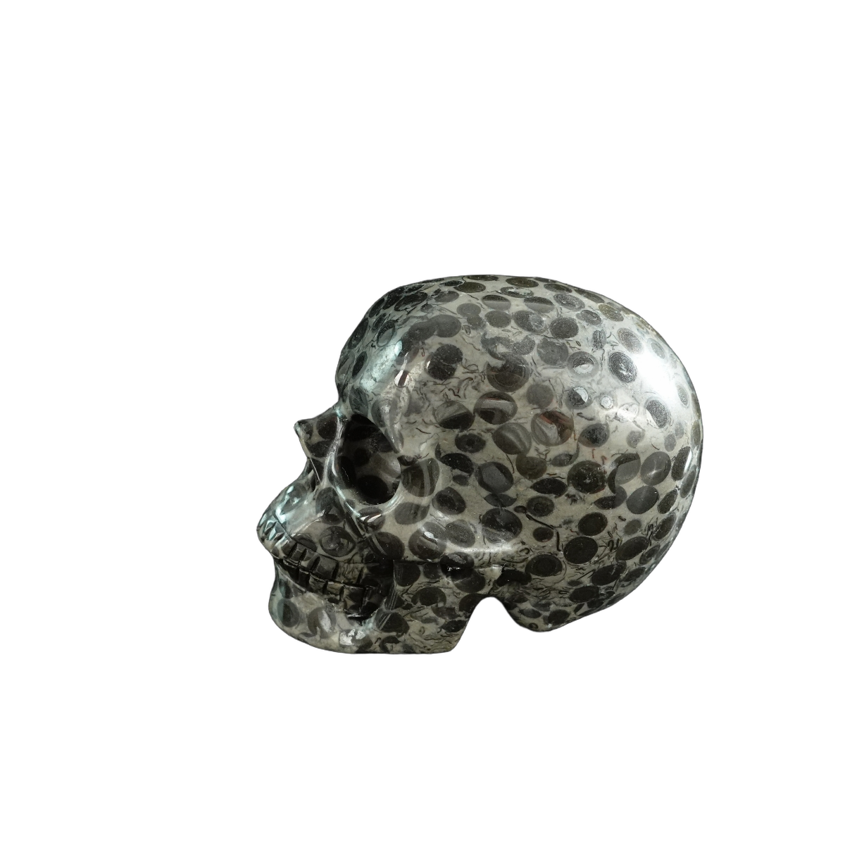 3.0" Leopard skin jasper Crystal Skull Carving - Hand Carved Decor