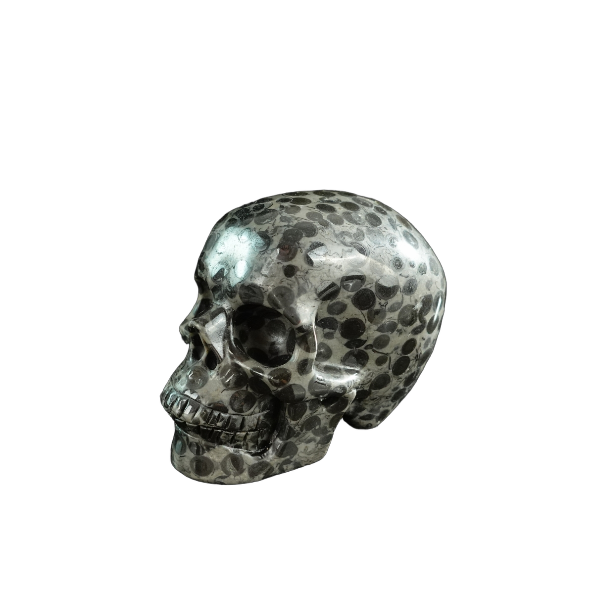 3.0" Leopard skin jasper Crystal Skull Carving - Hand Carved Decor