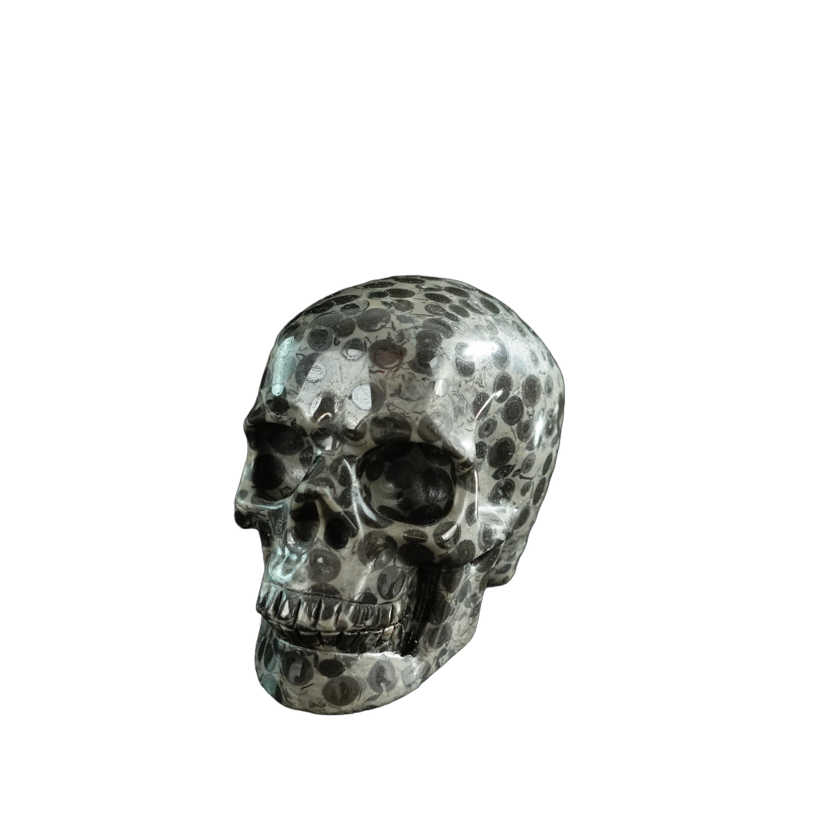 3.0" Leopard skin jasper Crystal Skull Carving - Hand Carved Decor