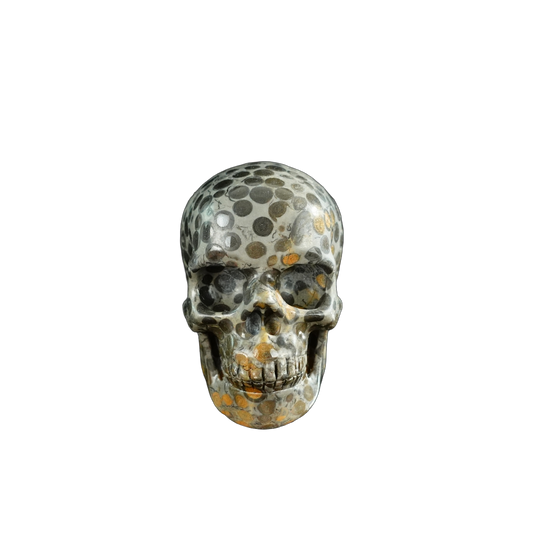 3.0" Leopard skin jasper Crystal Skull Carving - Unique Piece #LK02