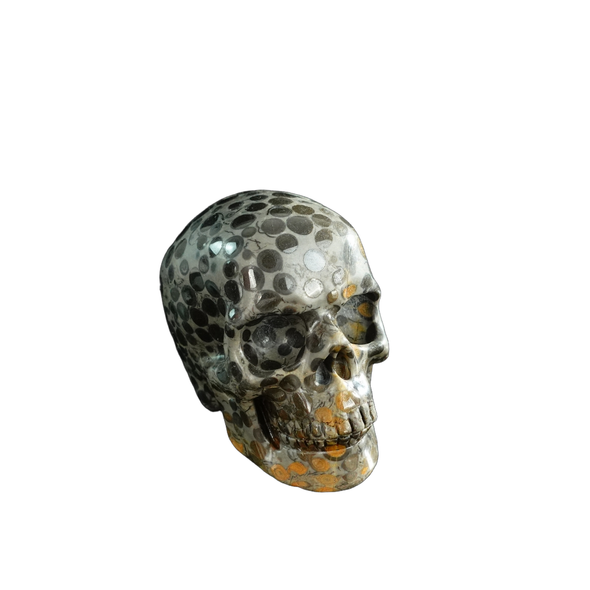 3.0" Leopard skin jasper Crystal Skull Carving - Unique Piece #LK02