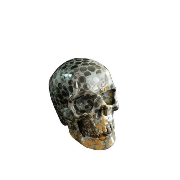3.0" Leopard skin jasper Crystal Skull Carving - Unique Piece #LK02 - alternate view