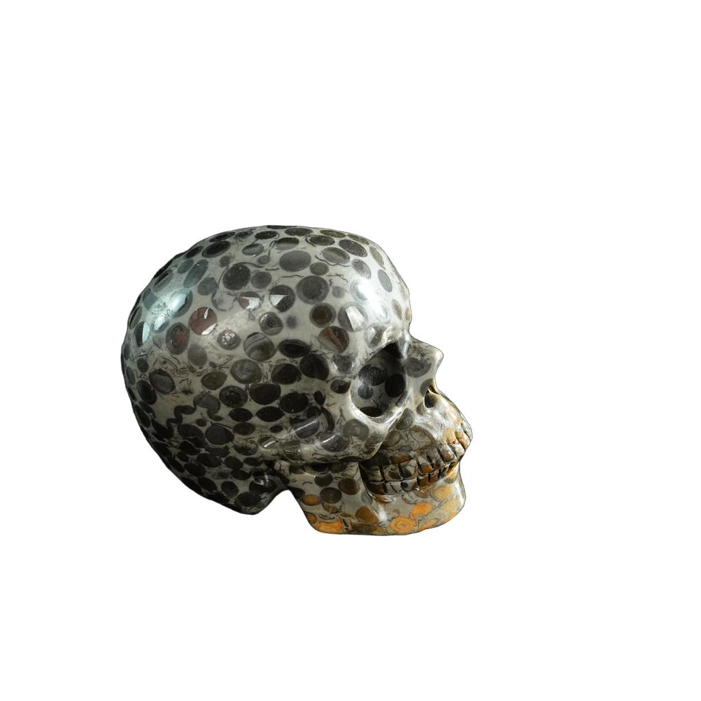3.0" Leopard skin jasper Crystal Skull Carving - Unique Piece #LK02